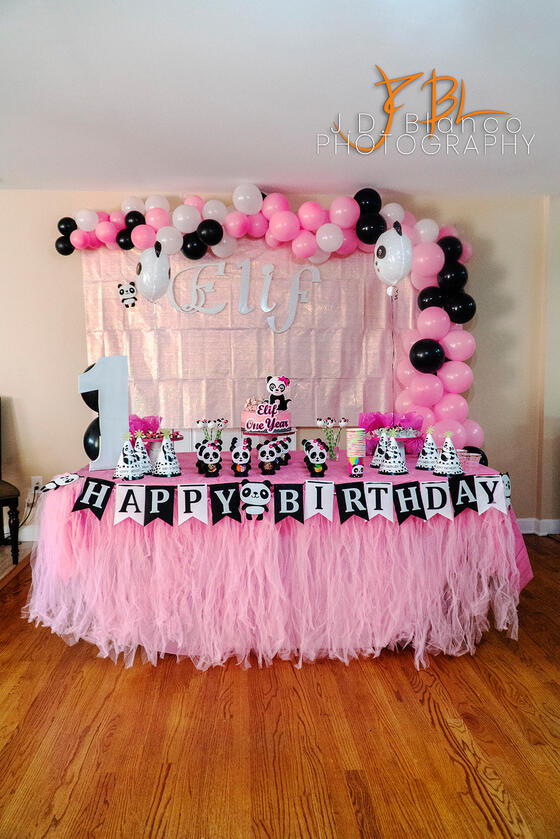 Elif&#39;s First Birthday