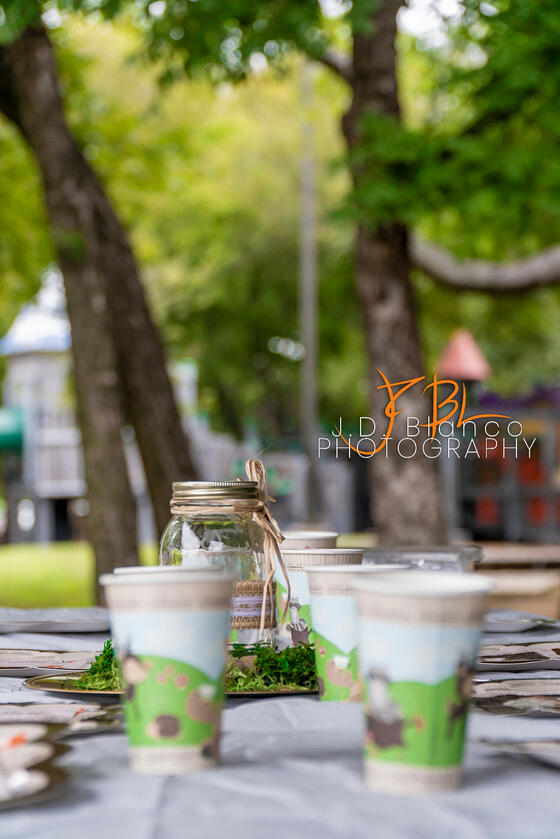 Jaden&#39;s 2nd Birthday