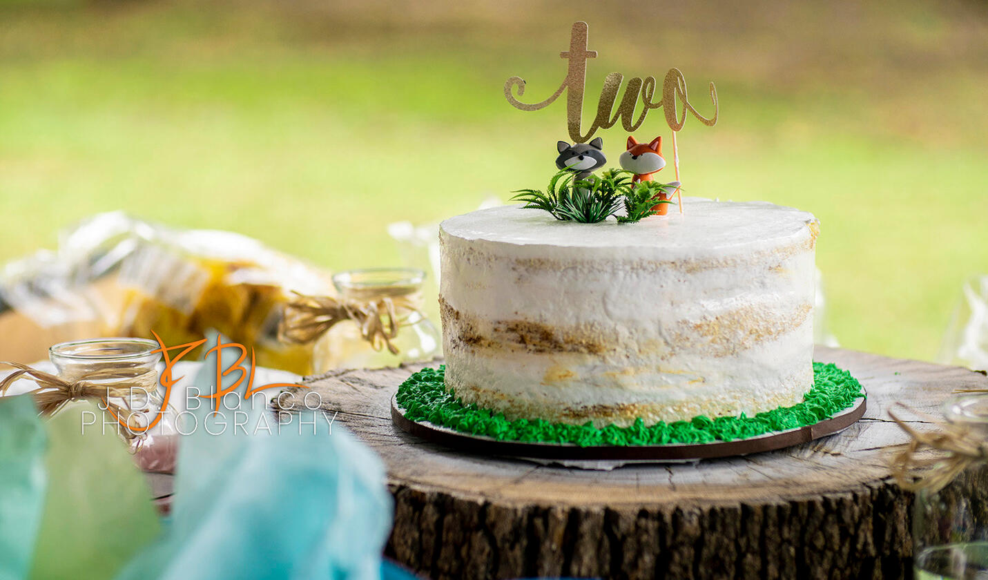 Jaden's 2nd Birthday