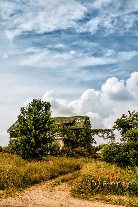 Abandoned House, MI